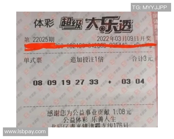 双色球中篮球的技巧与策略解析助你轻松赢得大奖的秘诀分享